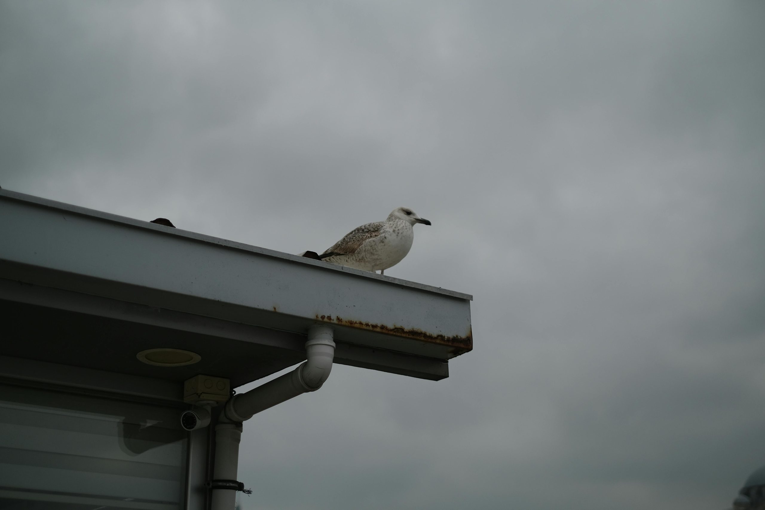 what are gutters for